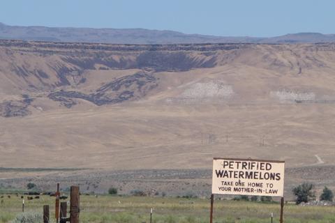 A sign advertising "Petrified Watermelon"