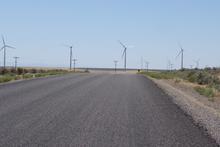 A wind farm next to the road.